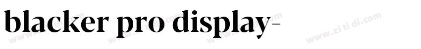 blacker pro display字体转换 blacker pro display字体转换